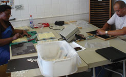 Assembly and testing